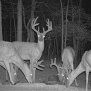 Meet your Posher, Nicholas